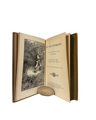 Nat the Naturalist or a Boy's Adventures in the Southern Seas. With Eight Full-Page Illustrations by Gordon Browne