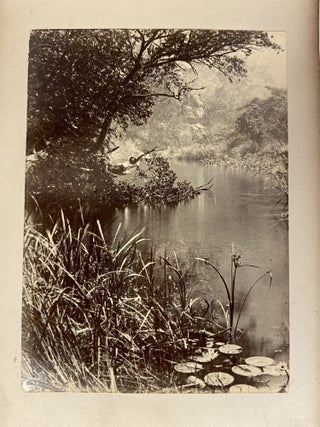 South African Photo Album; Mostly Pietermauritzburg