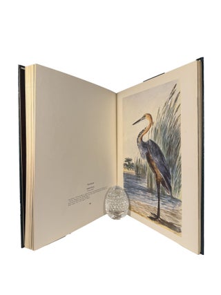 The Birds of South Africa; painted by Thomas Baines 1820-1875...