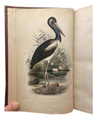 Gatherings of a Naturalist in Australasia; Being observations principally on the animal and vegetable productions of New South Wales, New Zealand and some of the Austral Isles