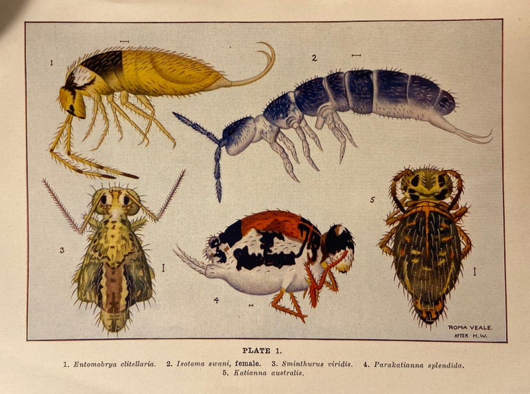 Item #2501 Primitive Insects Of South Australia; Silverfish, Springtails, and their Allies. H. WOMERSLEY.