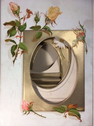 Unused 19th century Photograph Album with floral decorated leaves.